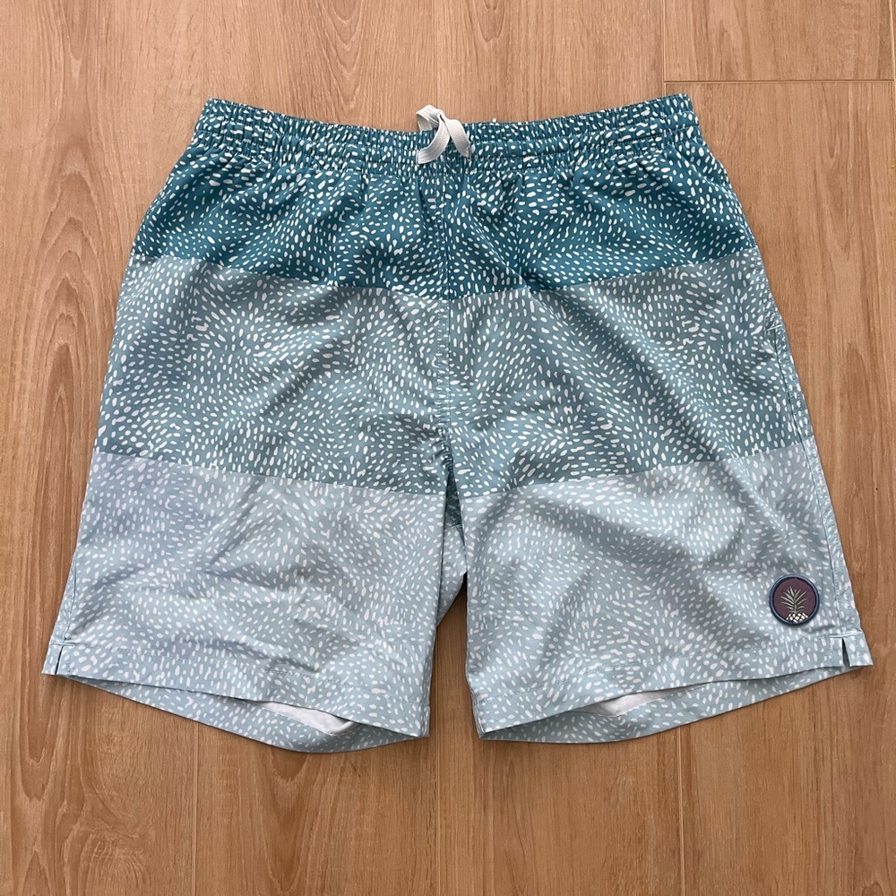 Chubbies Teal and Light Blue Swim Board Shorts